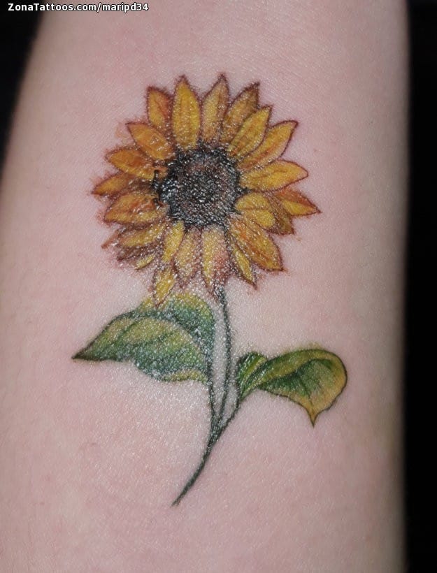 Tatuaje de Girasoles, Flores