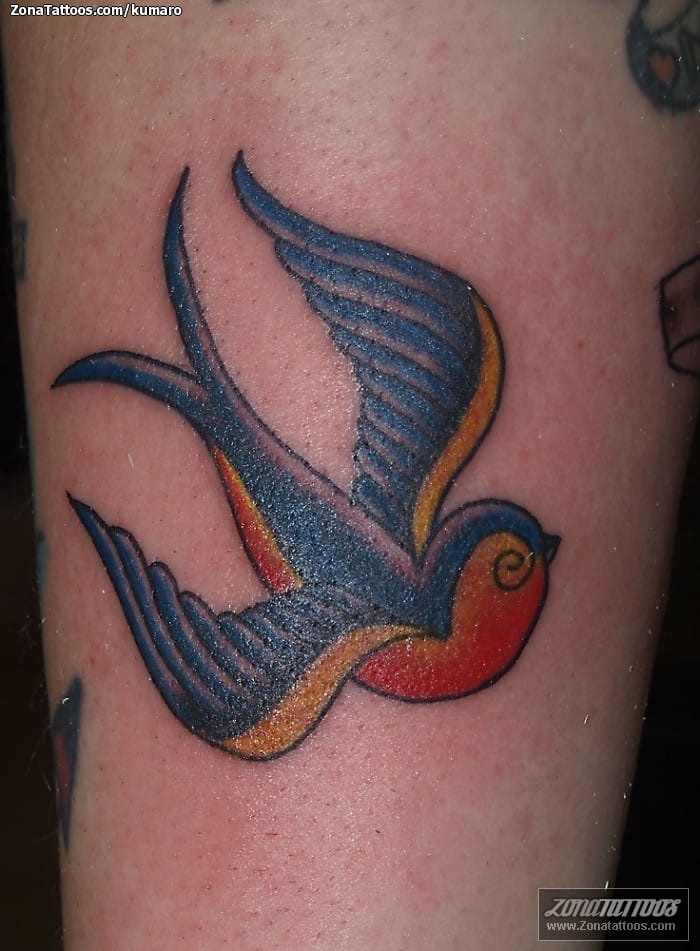 Tattoo photo Old School, Swallows, Birds