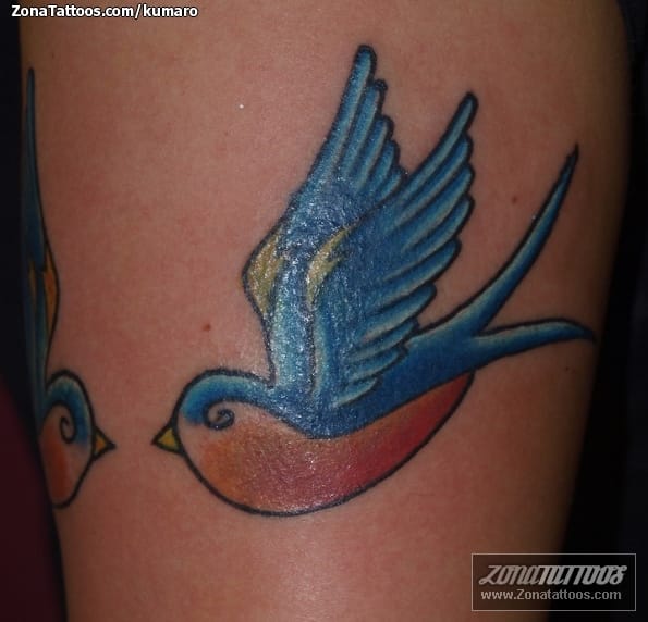 Foto de tatuaje Golondrinas, Aves, Animales