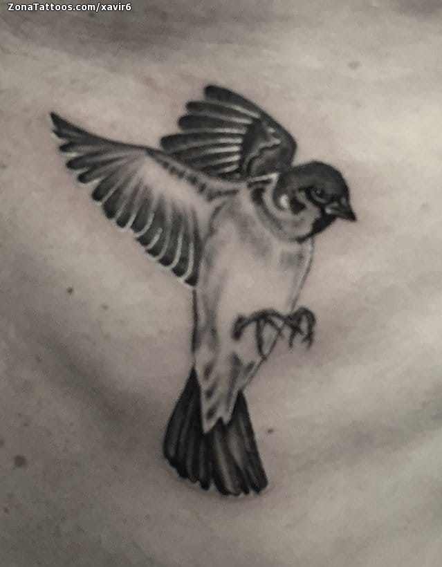 Tattoo photo Birds, Sparrows, Animals