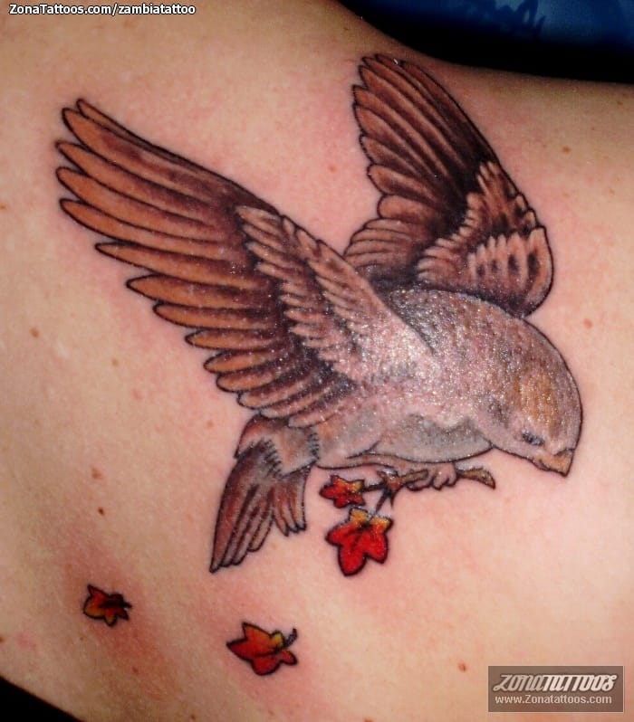 Tattoo photo Birds, Sparrows, Animals