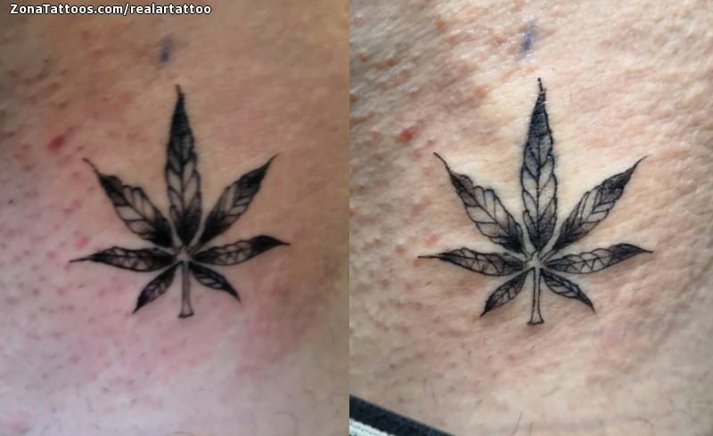 Foto de tatuaje Plantas, Hojas, Marihuana