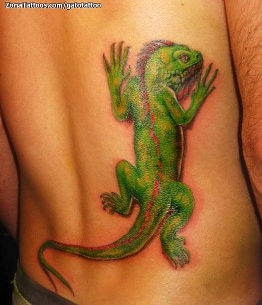 Tattoo photo Iguanas, Lizards, Animals