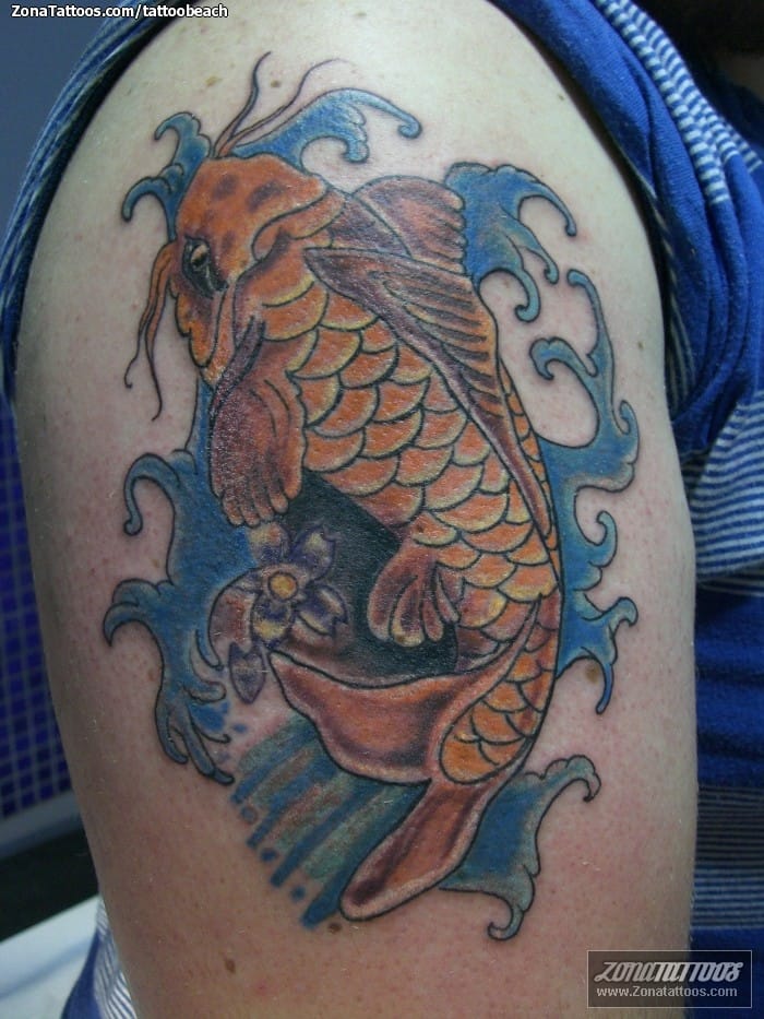 Tattoo photo Koi, Fish, Asian