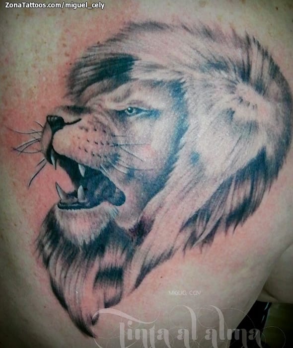 Foto de tatuaje Animales, Leones