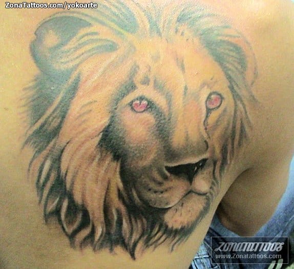 Foto de tatuaje Leones, Animales