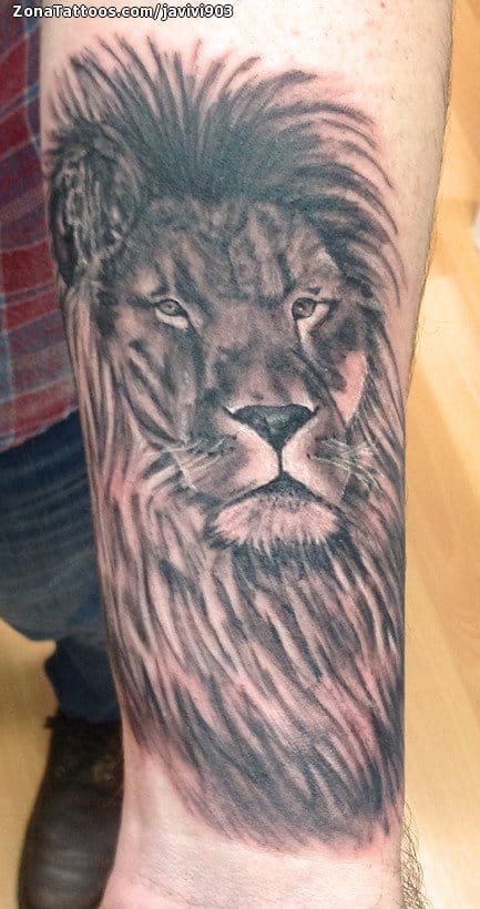 Foto de tatuaje Leones, Animales, Brazo