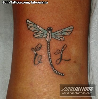 Tattoo photo Dragonflies, Insects