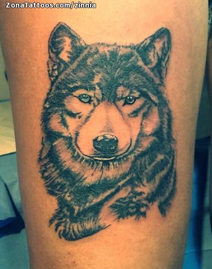 Tattoo photo Wolfs, Animals