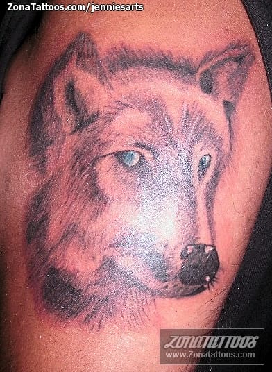 Foto de tatuaje Lobos, Animales