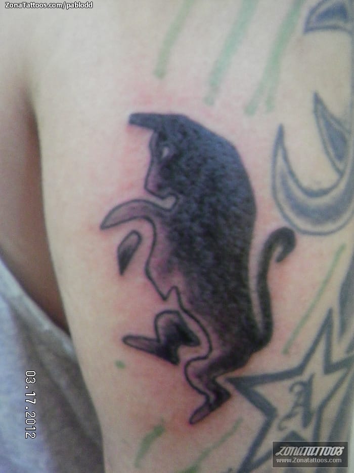 Foto de tatuaje Logos, Toros, Animales