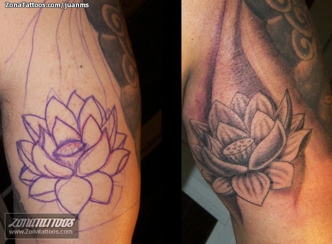 Tattoo photo Flowers, Lotus, Asian