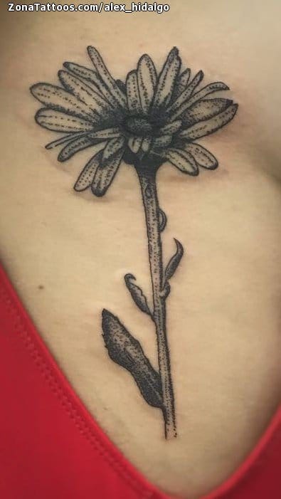 Tattoo of Flowers, Daisies