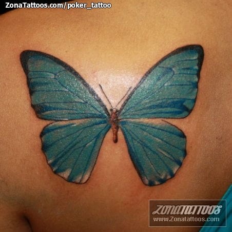 Tattoo photo Butterflies, Insects