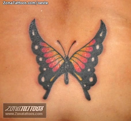 Foto de tatuaje Mariposas, Insectos