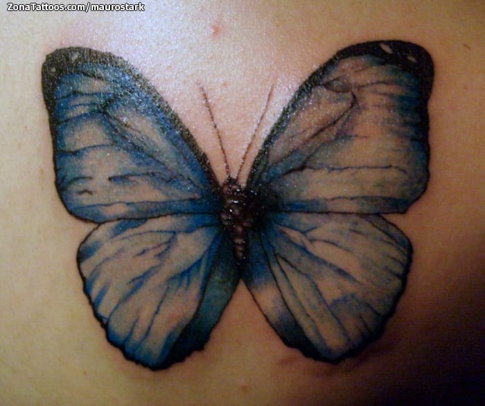 Foto de tatuaje Mariposas, Insectos