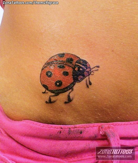 100 Tattoos  ladybugs ideas  lady bug tattoo tattoos bug tattoo