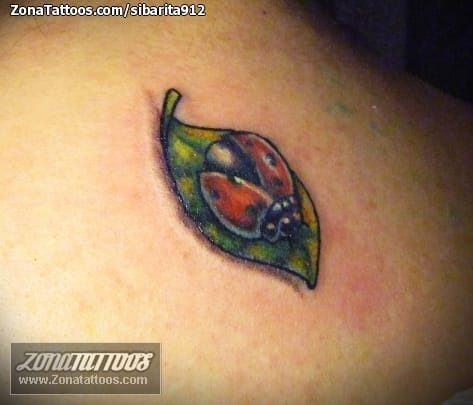 Foto de tatuaje Mariquitas, Insectos, Animales