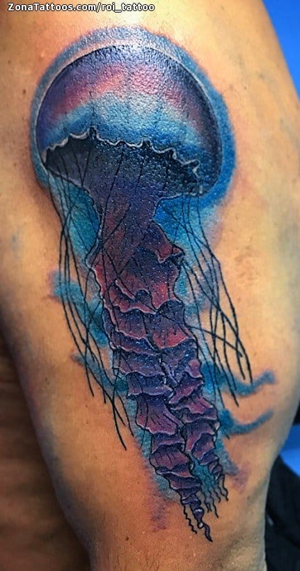 Tattoo photo Jellyfish, Animals, Arm