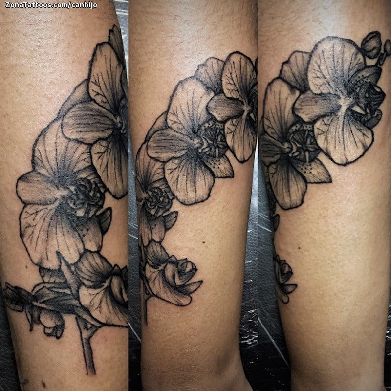 Foto de tatuaje Orquídeas, Flores