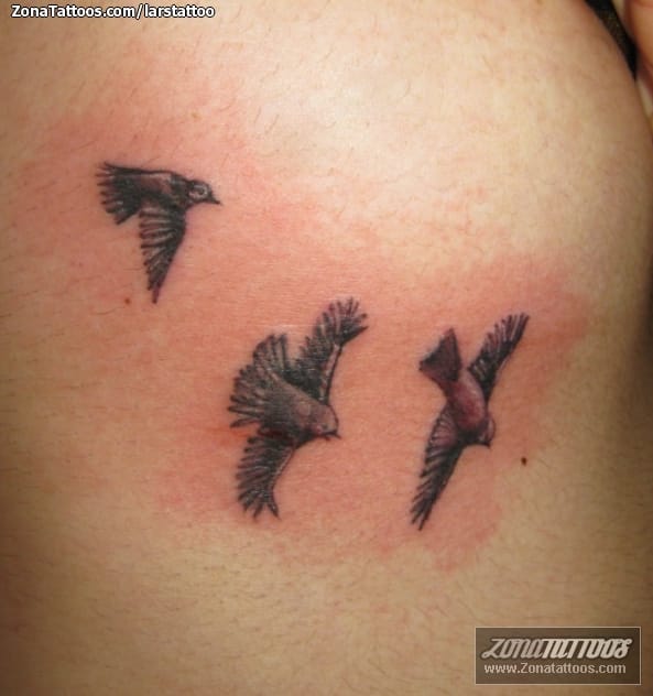 Foto de tatuaje Aves, Animales