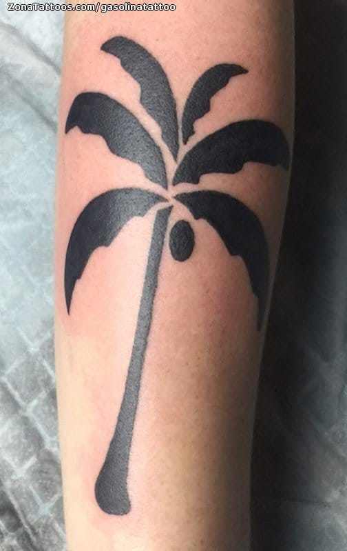 Tattoo photo Palm trees, Trees