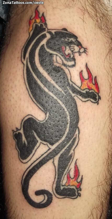 Foto de tatuaje Animales, Fuegos, Old School