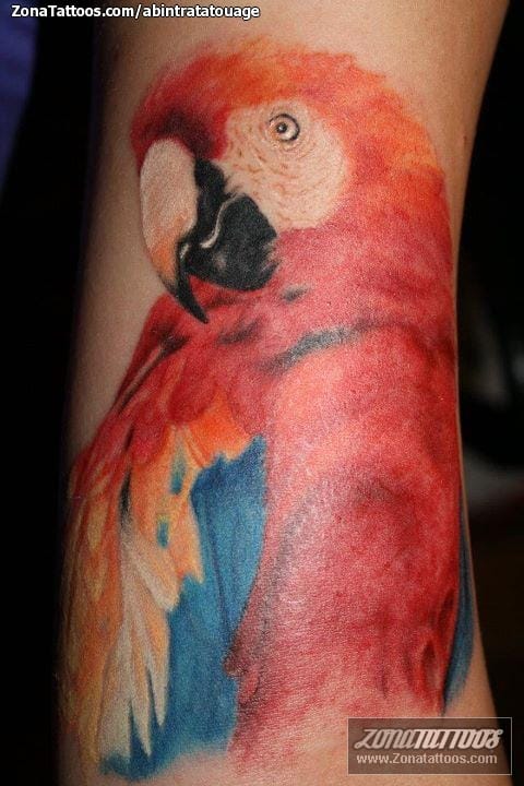 Foto de tatuaje Loros, Aves, Animales