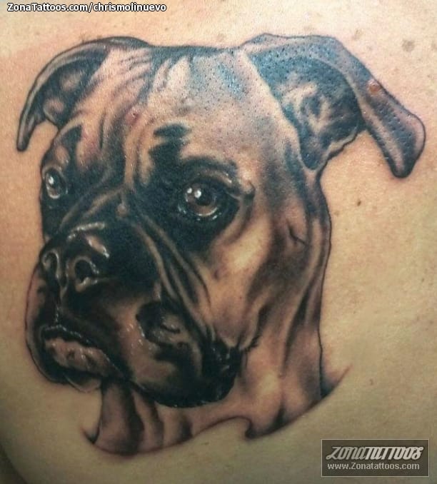 Tattoo photo Dogs, Animals