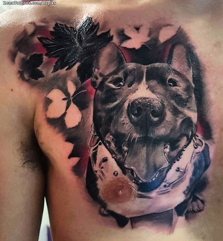 Foto de tatuaje Perros, Pecho, Hojas