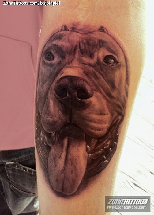 Foto de tatuaje Animales, Perros, Pitbulls