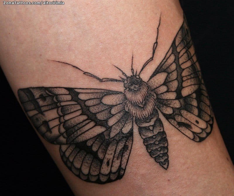 Tattoo photo Moths, Insects