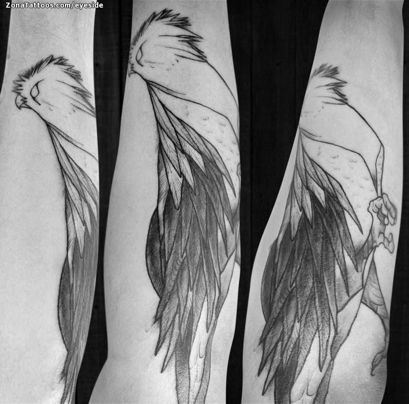 Foto de tatuaje Quetzales, Aves, Animales