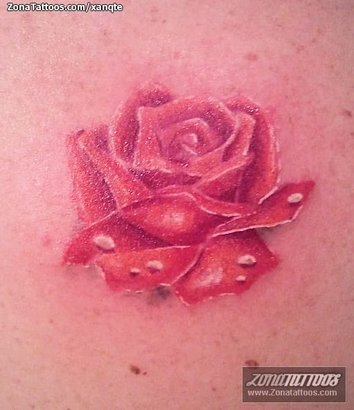 Foto de tatuaje Rosas, Flores