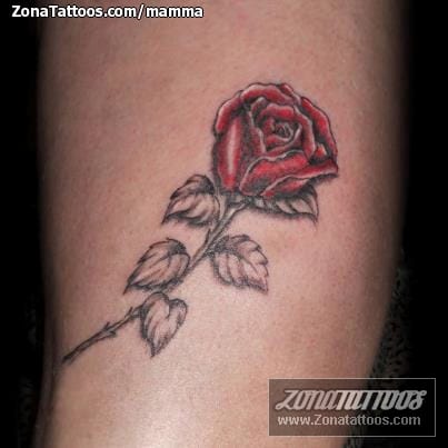 Foto de tatuaje Flores, Rosas