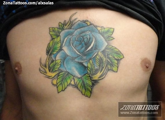 blue roses tattoo on chest