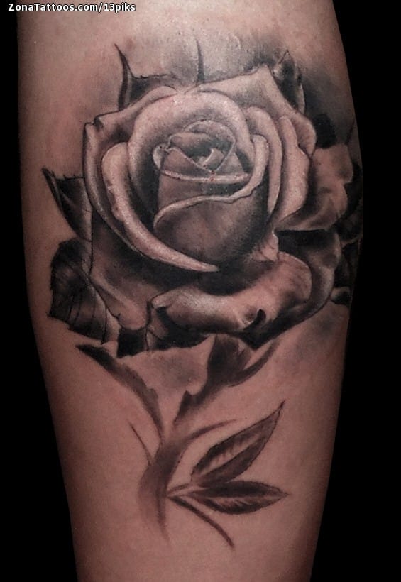 Tattoo photo Roses, Leg, Flowers