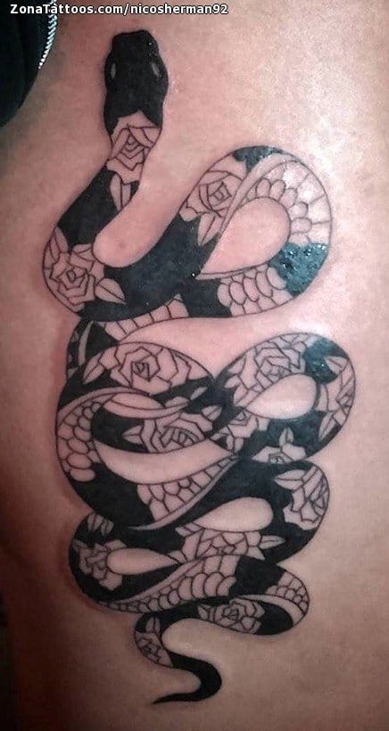 Foto de tatuaje Serpientes, Animales