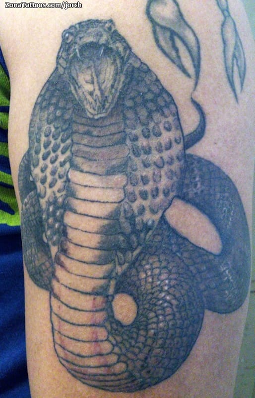 Tattoo photo Snakes, Animals