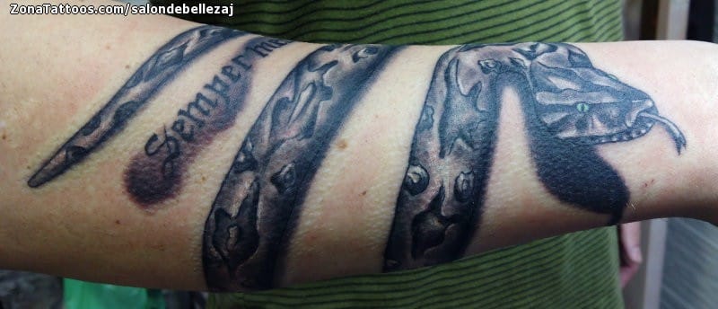 Foto de tatuaje Serpientes, Animales, Brazaletes