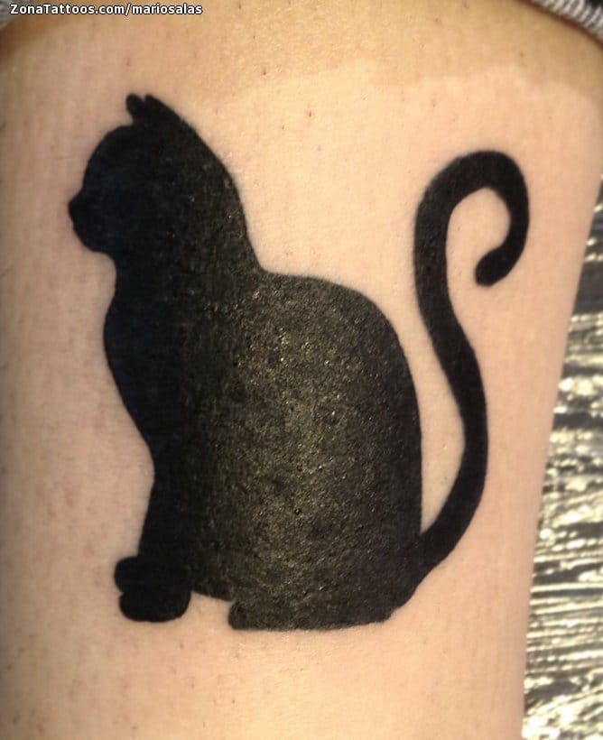 Tattoo photo Cats, Silhouettes, Animals