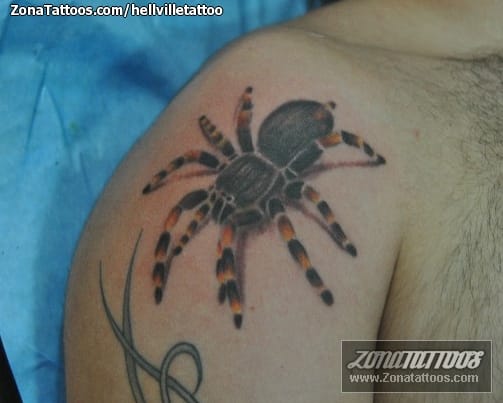 Tattoo photo Tarantulas, Animals