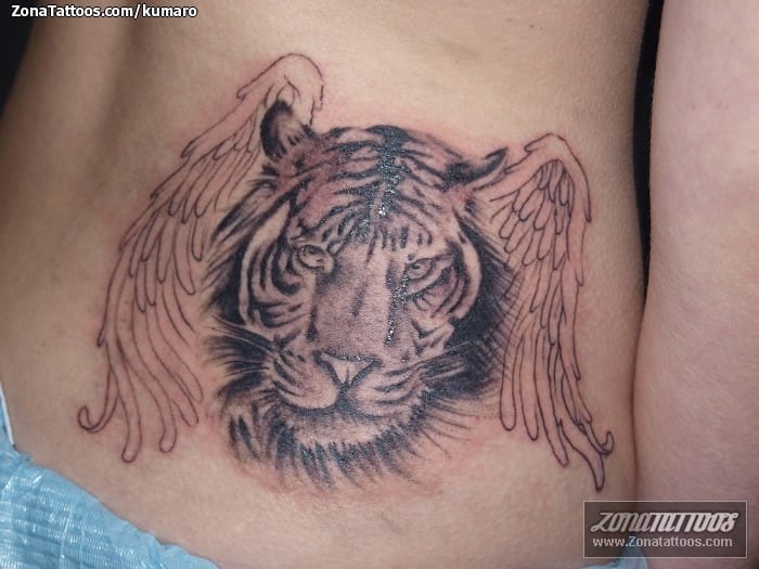 Tattoo photo Tigers, Wings, Animals