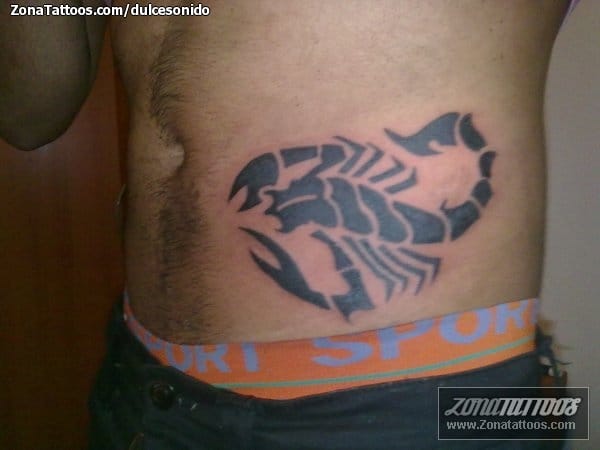 Foto de tatuaje Escorpiones, Tribales, Insectos