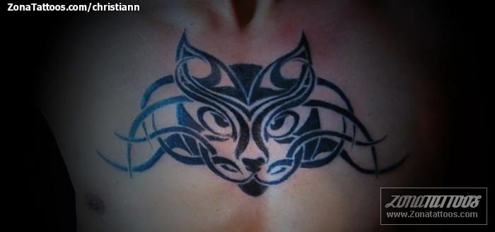 Foto de tatuaje Gatos, Pecho, Tribales