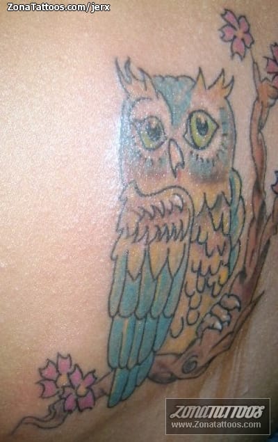 Tattoo photo Owls, Animals, Birds