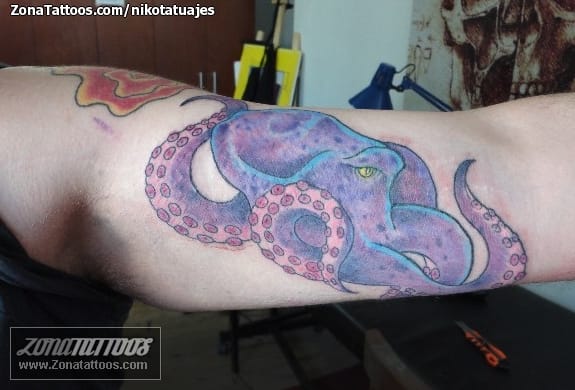 Tattoo photo Octopuses, Animals