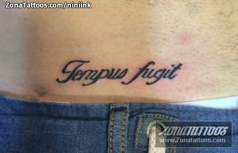 Foto de tatuaje Latín, Letras, Frases