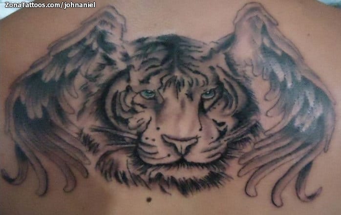 Tattoo photo Tigers, Wings, Animals