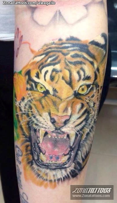 Tattoo photo Tigers, Animals